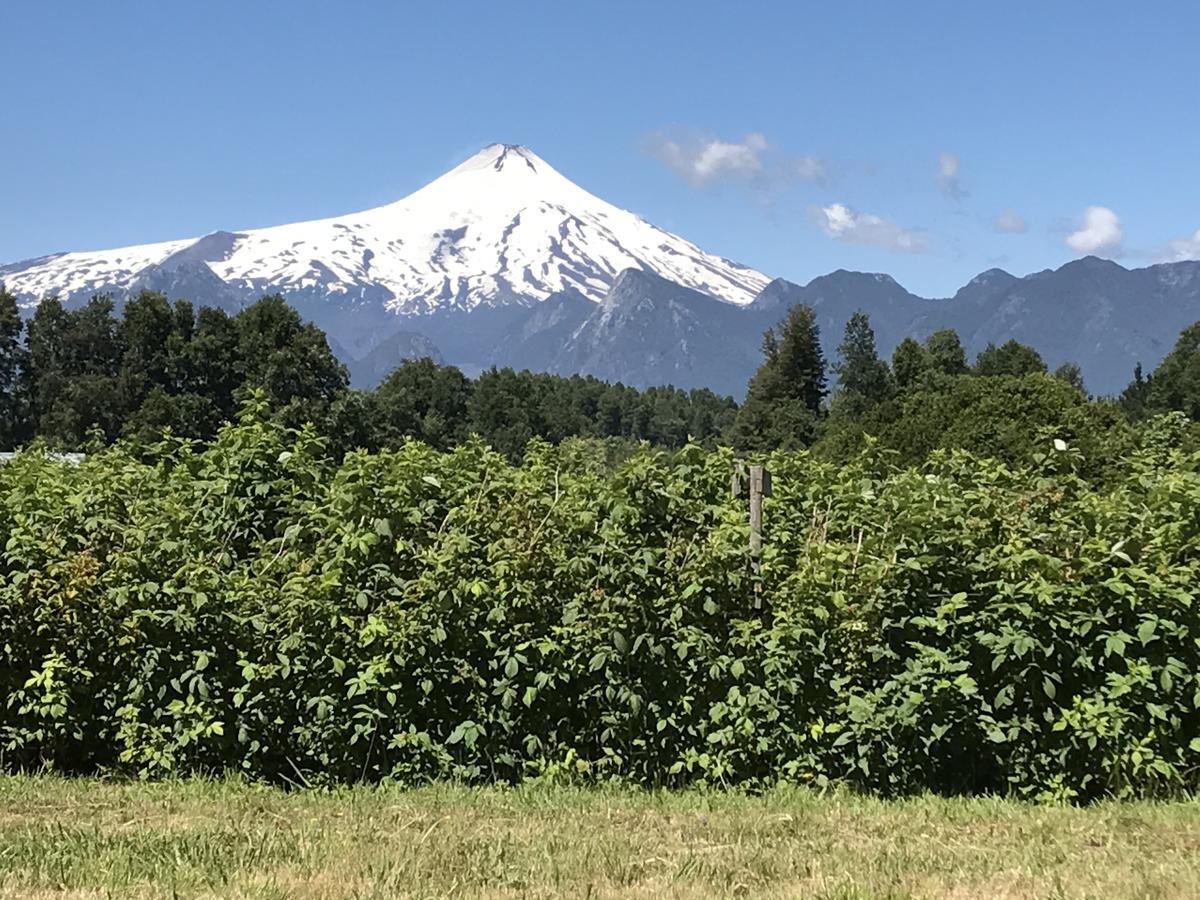 Rukafun 1 * Pucón